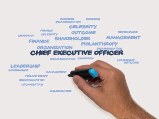 Chief executive officer