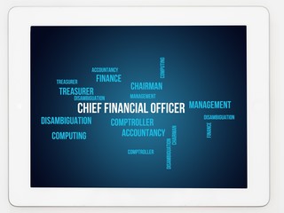 Chief financial officer