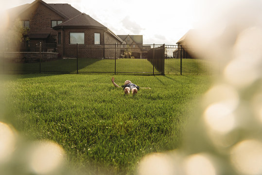Boy relaxing on grassy field in backyard