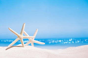 Fototapeta na wymiar white starfish with ocean, on white sand beach, sky and seascape