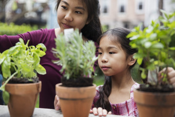 Siblings gardening with potted plants in yard