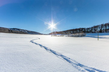 spuren im schnee