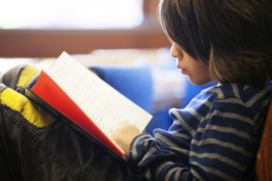 Side View Of Boy Reading Book In Library