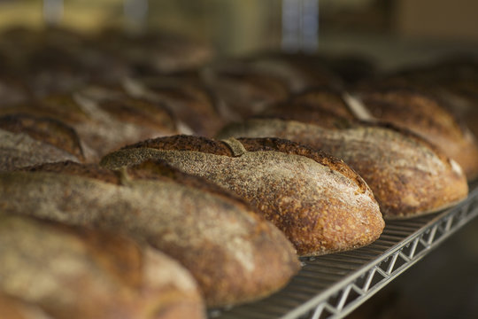 Artisanal bread loafs in cooling rack at bakery
