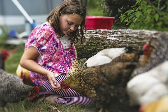 Girl playing with hens in backyard