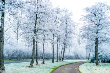 Fototapeten Freezing Holland © Evgeny Drokov