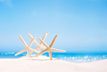 Fototapeta na wymiar white starfish with ocean, on white sand beach, sky and seascape