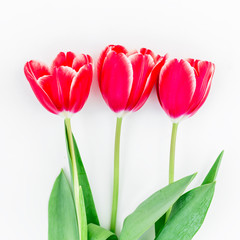 Bouquet with tulips isolated on white background. Flat lay, Top view.