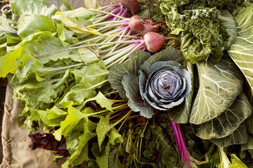 Overhead view of freshly harvested vegetables on table at field