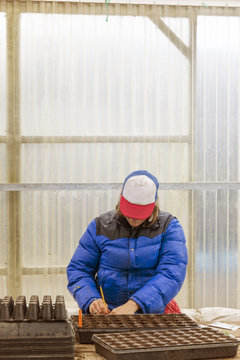Woman examining seedling trays in greenhouse
