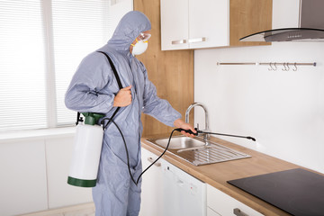 Fototapeta na wymiar Pest Control Worker Spraying Pesticide In Kitchen