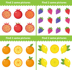 Childrens educational game. Find two same pictures. Vector illustration