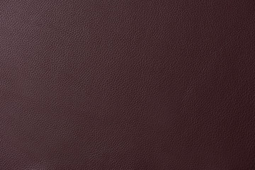 Dark brown leather swatch section