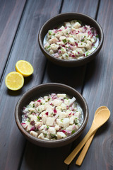 Chilenisches Ceviche aus rohem Seebrass Fisch (lat. Brama Australis, Spanisch: Reineta), Zitronensaft, Zwiebel und frischem Koriander, fotografiert mit natürlichem Licht (Selektiver Fokus)
