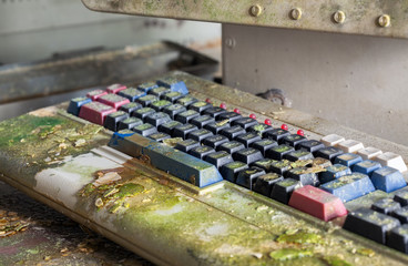 Retro computer keyboard covered with moss. Focus on the center of the frame
