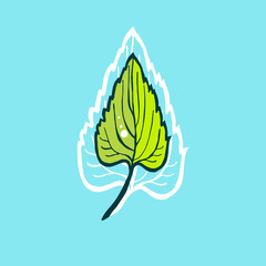 Leaf isolated on blue background. Hand drawn. Vector illustration.