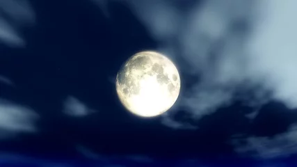 Crédence de cuisine en verre imprimé Pleine Lune arbre pleine lune claire