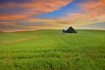 Scenic landscape in Rural Washington state