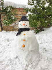 happy snowman on the snow