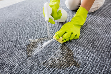 Close-up Of Person Hand Spraying Detergent On Carpet