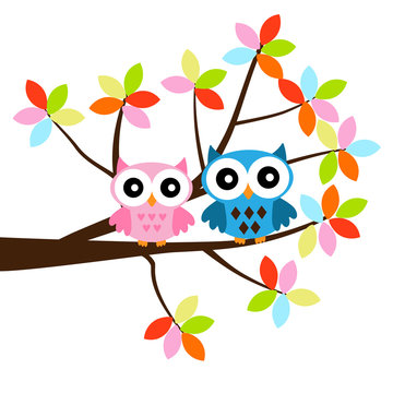 Two Owls sitting on the branch