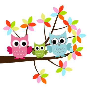 Three Owls sitting on the branch