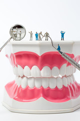 Fototapeta na wymiar People to clean tooth model on white background,miniature