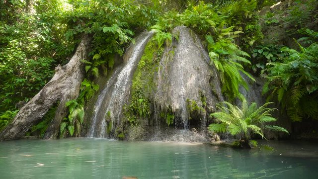 Waterfall in green forest in jungle. Beautiful waterfall in the mountains. Tropical rain forest with waterfall. Philippines, Cebu. 4K video. Travel concept.