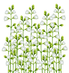Panele Szklane Podświetlane  gałąź kwiatów jaśminu na białym tle