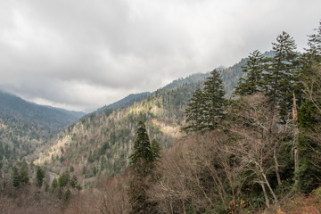Fototapeta na wymiar Late fall at the Great Smoky Mountains National Park