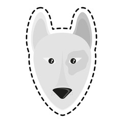 dog animal cartoon icon over white background. colorful design. vector illustration