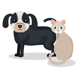 cute dog with cat mascot icon vector illustration design