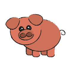 pig animal cartoon icon over white background. colorful design. vector illustration