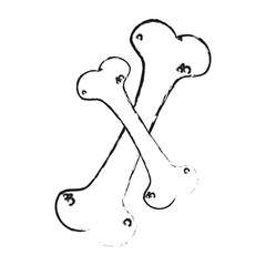 dog bone icon over white background. pet shop concept. vector illustration