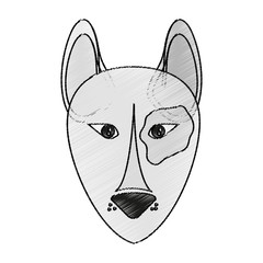 dog animal cartoon icon over white background. vector illustration