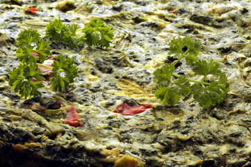 Frittata 프리타타 פריטטה 義大利式菠菜烘蛋 Фриттата فريتاتا Ֆրիտատա フリッタータ 