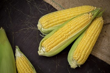 Fresh corn with sackcloth on wooden background