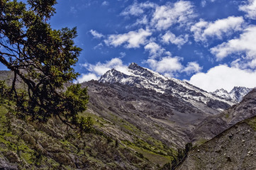 Mountain Peak clear day with greens and snow