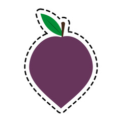 plum fruit icon over white background. colorful design. vector illustration