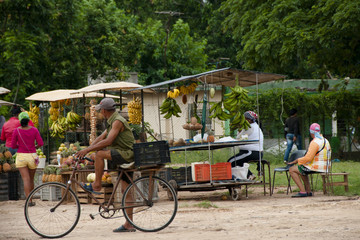 Fototapeta na wymiar Fruit Market - Cuba