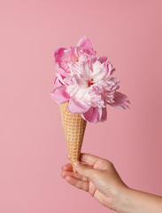 peony in the waffle cone