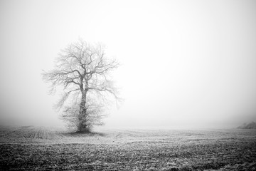 Givre, paysages enneig&eacute;s