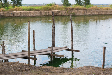 Fototapeta na wymiar Wooden bridge in fish farm pool.