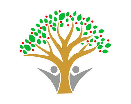 tree plant icon