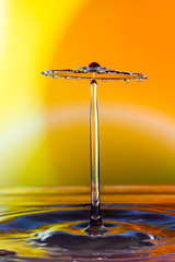 Liquid Art, the study of a liquid drop creating shapes from fluid dynamics