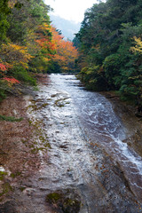 紅葉の滑床渓谷　雪輪の滝（愛媛）
