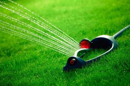 46,700+ Lawn Sprinkler Stock Photos, Pictures & Royalty-Free