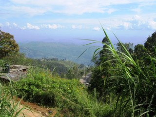 Haputale im Hochland von Sri Lanka