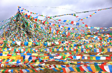 Tibetan praying flags floating on the Hill