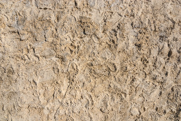 Decayed plastered wall abstract background